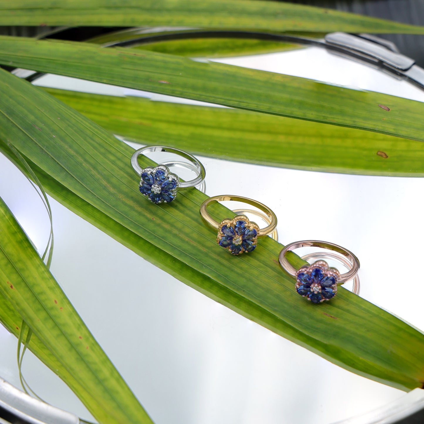 BLOOM RING
