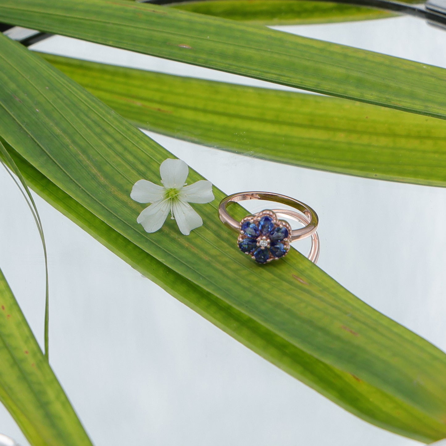 BLOOM RING